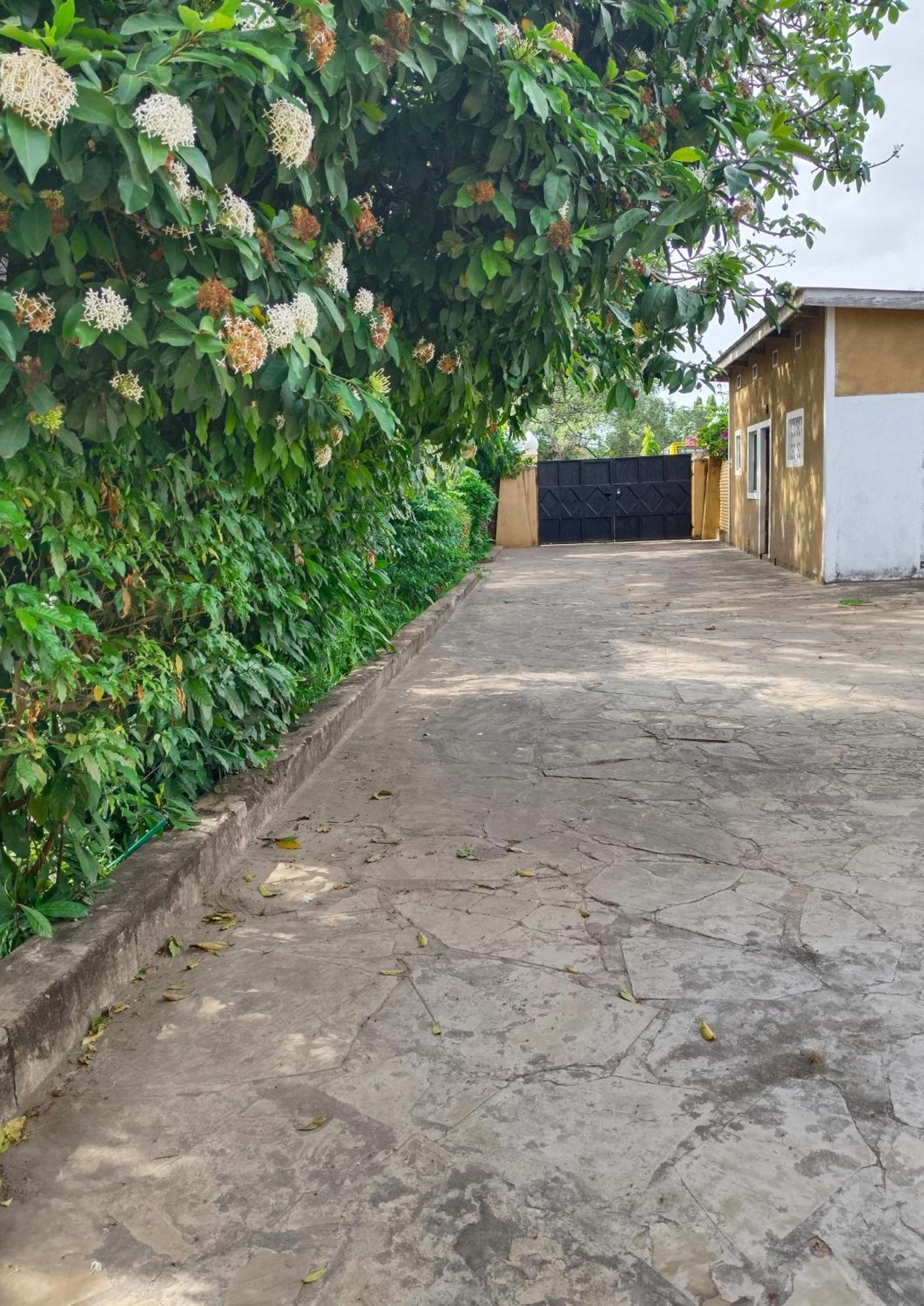 Joysvilla Family Holiday Home Malindi Kültér fotó